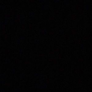 Meet your Posher, Benjamin